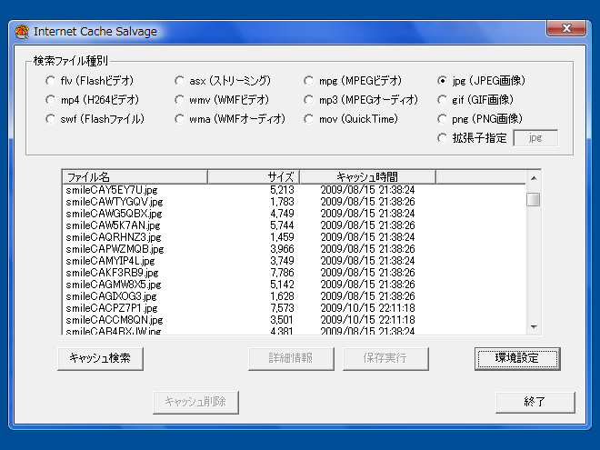 Internet Cache Salvage