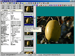 uAble CV for Windows95/98/NTv̓